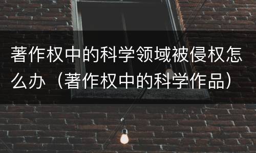 著作权中的科学领域被侵权怎么办（著作权中的科学作品）