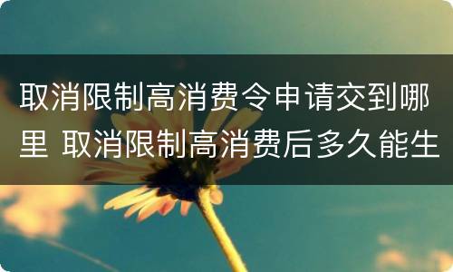 取消限制高消费令申请交到哪里 取消限制高消费后多久能生效