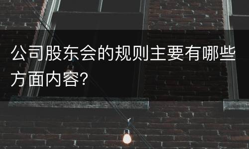 公司股东会的规则主要有哪些方面内容？