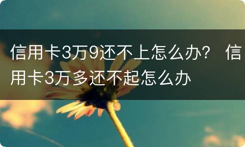 信用卡3万9还不上怎么办？ 信用卡3万多还不起怎么办