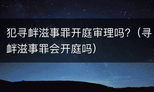 犯寻衅滋事罪开庭审理吗?（寻衅滋事罪会开庭吗）