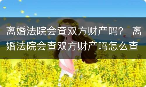 离婚法院会查双方财产吗？ 离婚法院会查双方财产吗怎么查