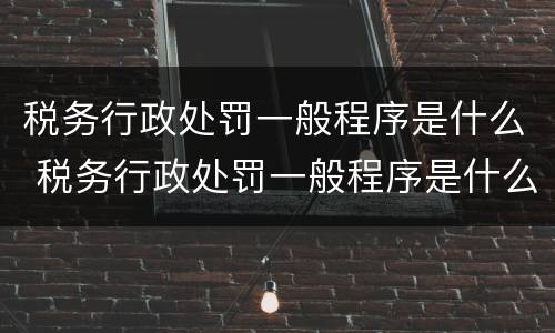 税务行政处罚一般程序是什么 税务行政处罚一般程序是什么样的