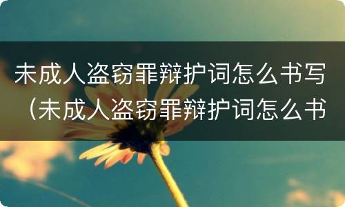 未成人盗窃罪辩护词怎么书写（未成人盗窃罪辩护词怎么书写才正确）