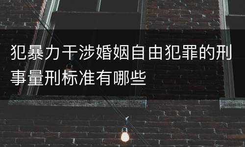 犯暴力干涉婚姻自由犯罪的刑事量刑标准有哪些