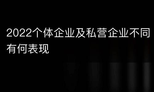 2022个体企业及私营企业不同有何表现