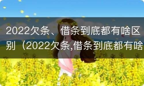 2022欠条、借条到底都有啥区别（2022欠条,借条到底都有啥区别呢）