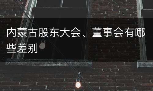 内蒙古股东大会、董事会有哪些差别