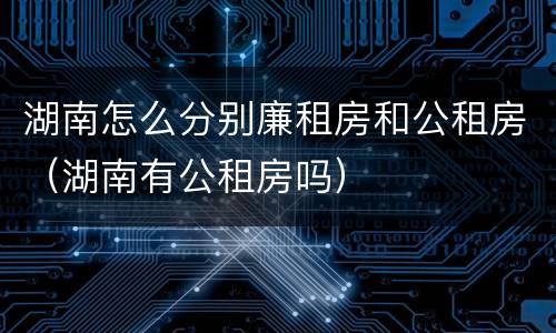 湖南怎么分别廉租房和公租房（湖南有公租房吗）