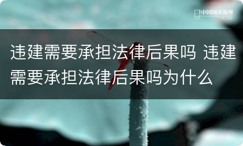 违建需要承担法律后果吗 违建需要承担法律后果吗为什么