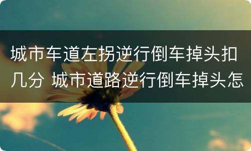 城市车道左拐逆行倒车掉头扣几分 城市道路逆行倒车掉头怎么处罚