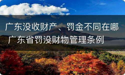 广东没收财产、罚金不同在哪 广东省罚没财物管理条例