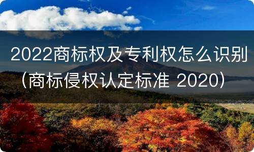 2022商标权及专利权怎么识别（商标侵权认定标准 2020）