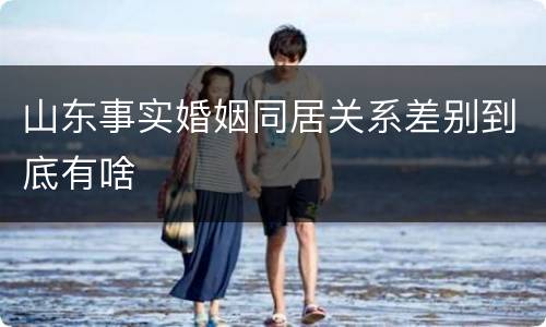 山东事实婚姻同居关系差别到底有啥