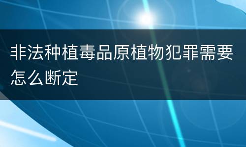 非法种植毒品原植物犯罪需要怎么断定