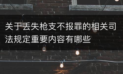 关于丢失枪支不报罪的相关司法规定重要内容有哪些