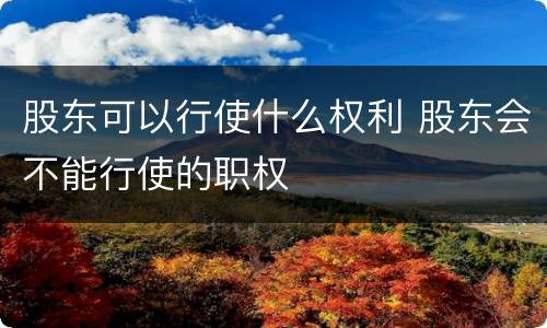 股东可以行使什么权利 股东会不能行使的职权