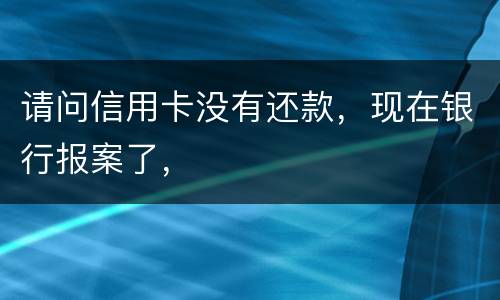 请问信用卡没有还款，现在银行报案了，