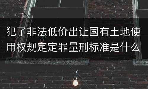 犯了非法低价出让国有土地使用权规定定罪量刑标准是什么样