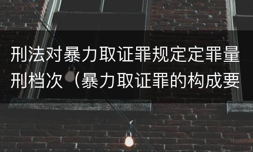 刑法对暴力取证罪规定定罪量刑档次（暴力取证罪的构成要件）