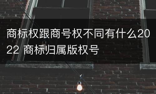 商标权跟商号权不同有什么2022 商标归属版权号