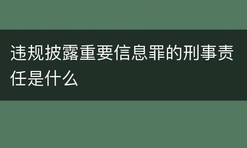 违规披露重要信息罪的刑事责任是什么