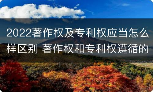 2022著作权及专利权应当怎么样区别 著作权和专利权遵循的理念