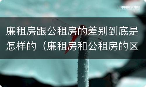 廉租房跟公租房的差别到底是怎样的（廉租房和公租房的区别在哪）