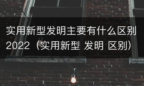 实用新型发明主要有什么区别2022（实用新型 发明 区别）