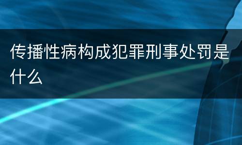 传播性病构成犯罪刑事处罚是什么