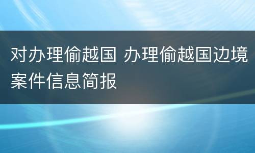 对办理偷越国 办理偷越国边境案件信息简报