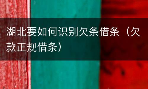 湖北要如何识别欠条借条（欠款正规借条）