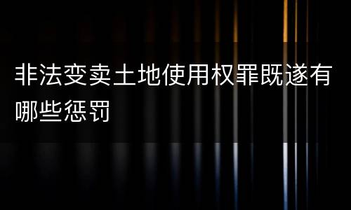 非法变卖土地使用权罪既遂有哪些惩罚