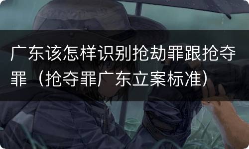 广东该怎样识别抢劫罪跟抢夺罪（抢夺罪广东立案标准）