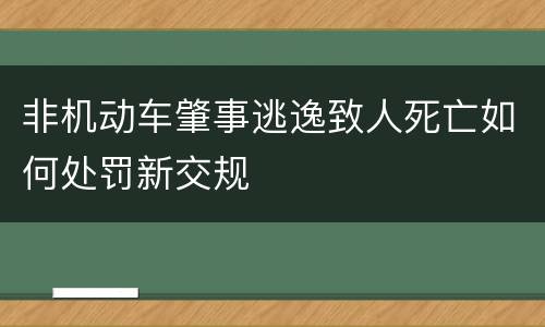 非机动车肇事逃逸致人死亡如何处罚新交规